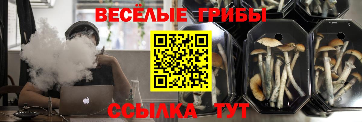 Строитель  Бошки Шишки  Вход с VPN  ГАШИШ  Мефедрон кристаллы  Кокаин  МДМА 